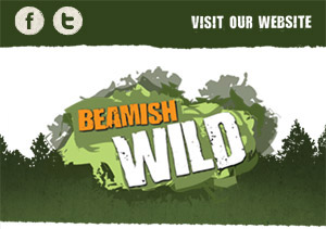 Beamish Wild